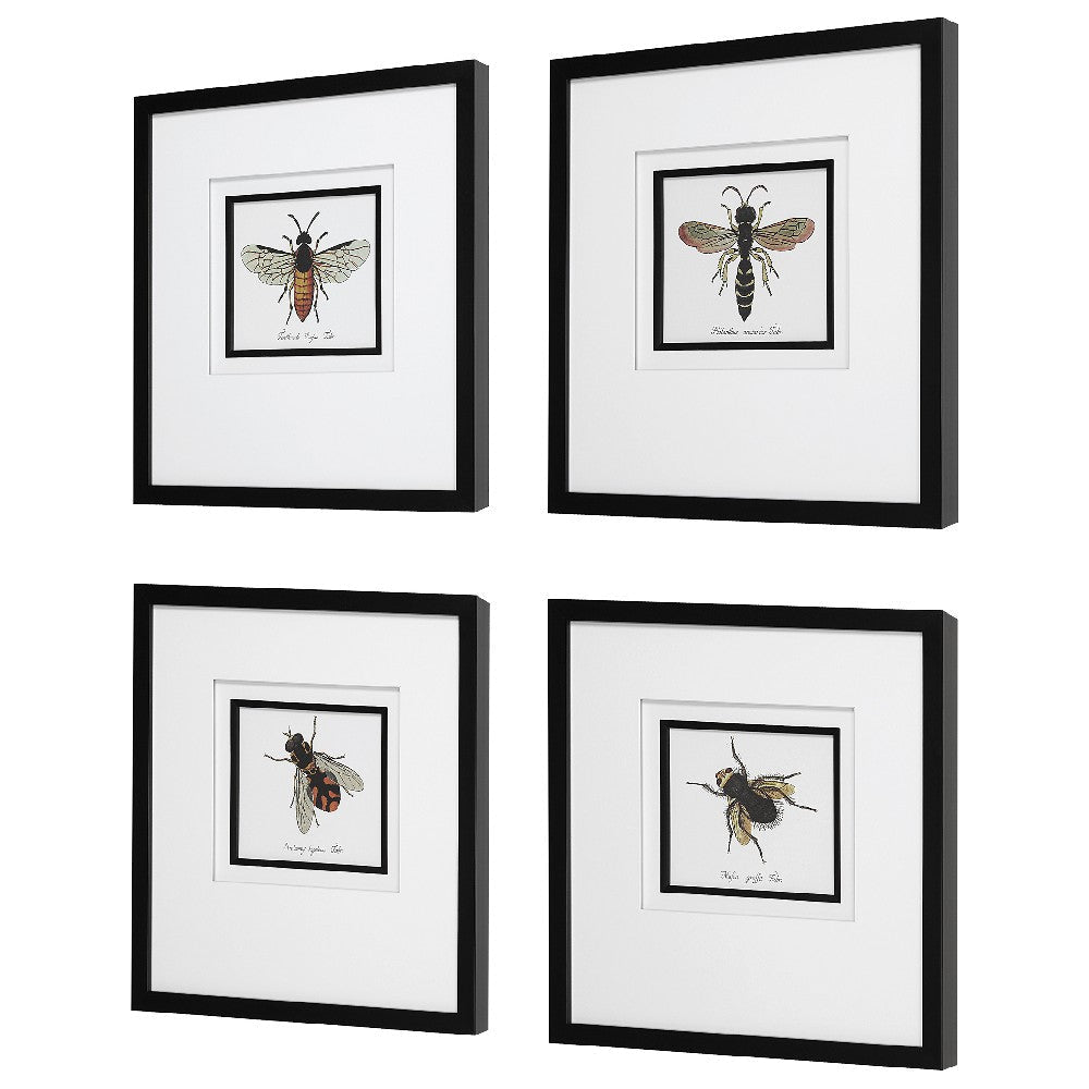 Uttermost Anthophila Framed Prints Set of 4 By Casagear Home UT-41428