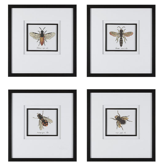 Uttermost Anthophila Framed Prints, Set of 4 By Casagear Home