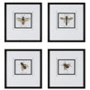 Uttermost Anthophila Framed Prints, Set of 4 By Casagear Home