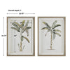 Uttermost Banana Palm Framed Prints Set/2 By Casagear Home UT-41446