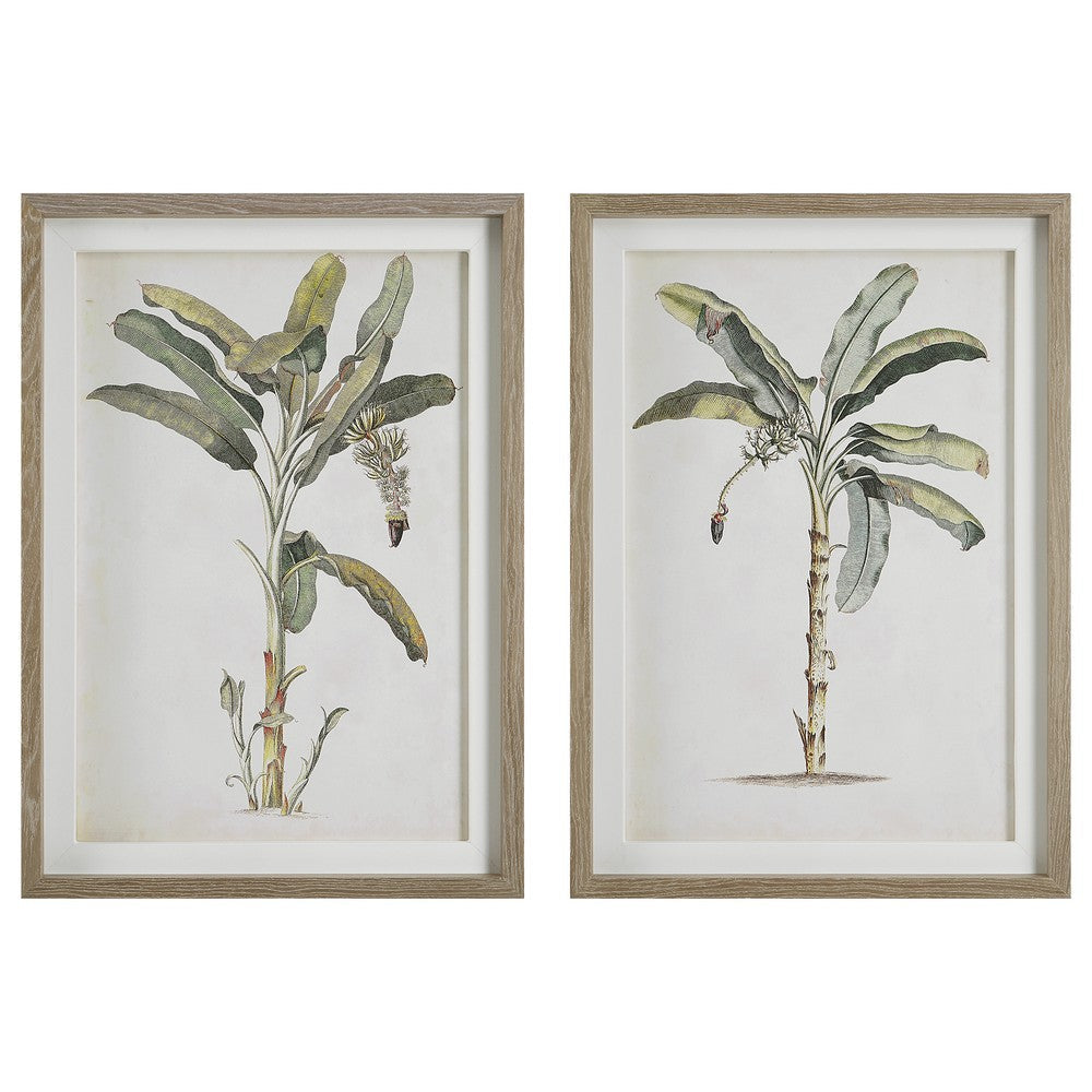 Uttermost Banana Palm Framed Prints, Set/2 By Casagear Home