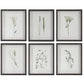 Uttermost Forest Finds Framed Prints, S/6 By Casagear Home