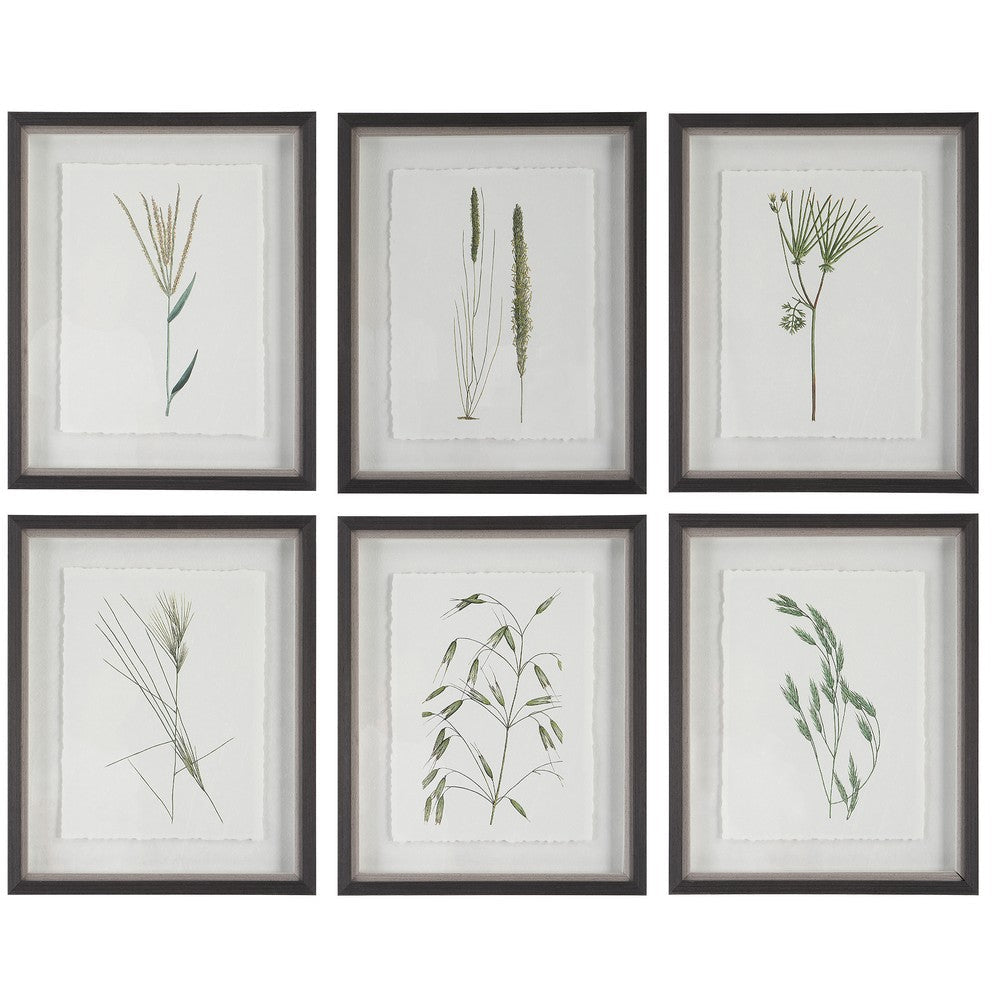 Uttermost Forest Finds Framed Prints, S/6 By Casagear Home