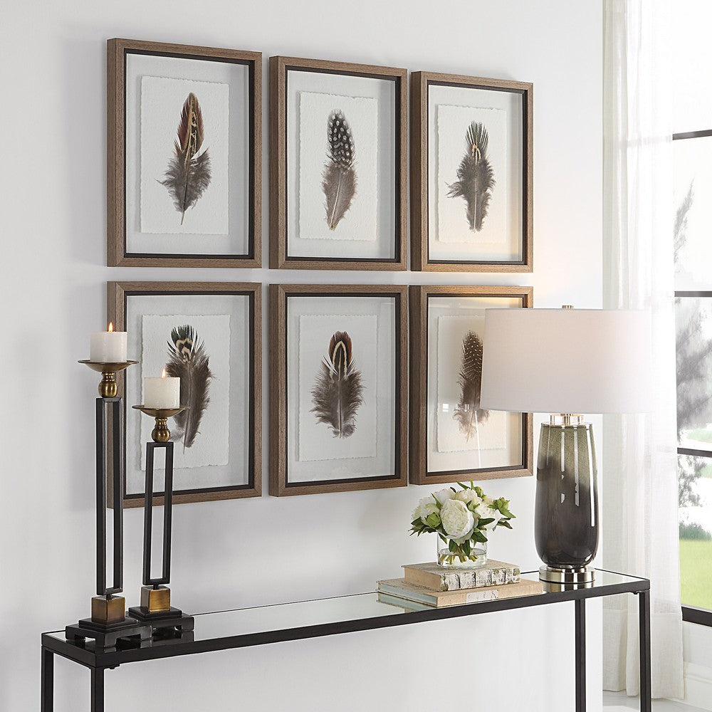 Uttermost Birds Of A Feather Framed Prints S/6 By Casagear Home UT-41460