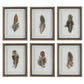 Uttermost Birds Of A Feather Framed Prints, S/6 By Casagear Home