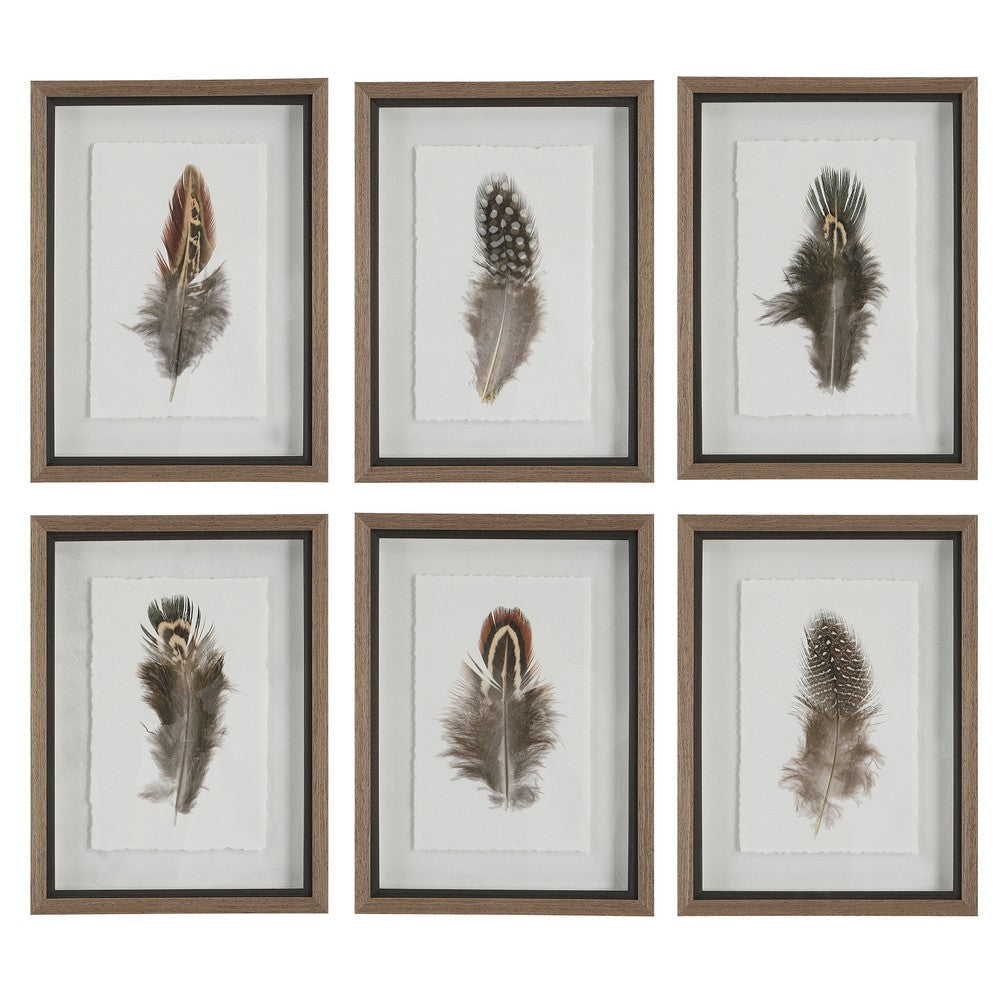 Uttermost Birds Of A Feather Framed Prints, S/6 By Casagear Home