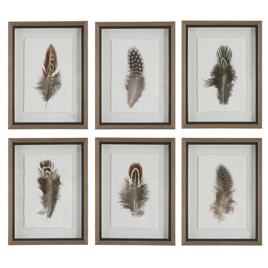 Uttermost Birds Of A Feather Framed Prints, S/6 By Casagear Home