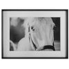 Uttermost Eyes On The Prize Framed Print By Casagear Home