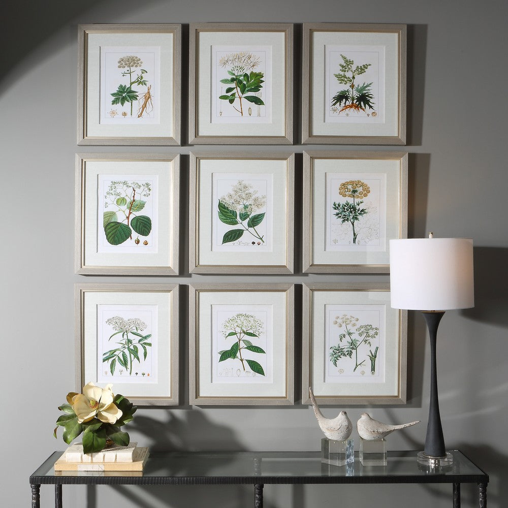 Uttermost Antique Botanicals Framed Prints S/9 By Casagear Home UT-41466