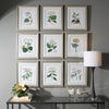 Uttermost Antique Botanicals Framed Prints S/9 By Casagear Home UT-41466