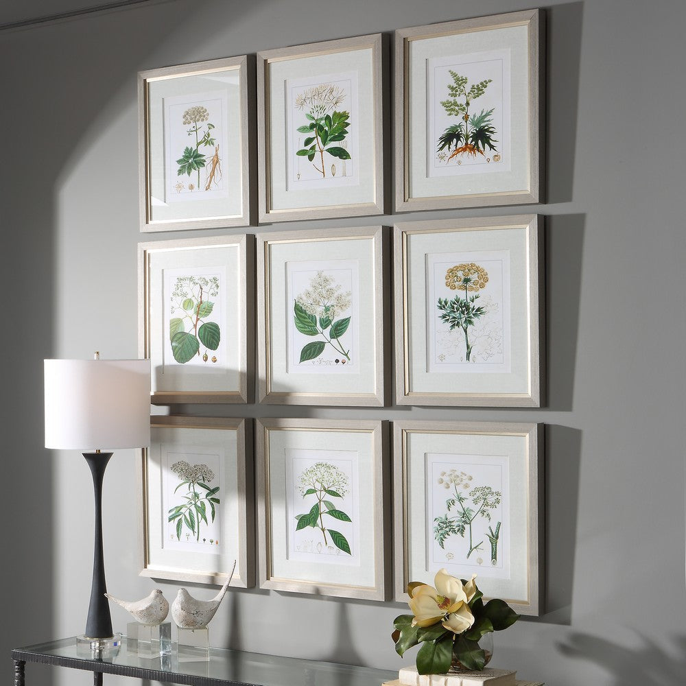 Uttermost Antique Botanicals Framed Prints S/9 By Casagear Home UT-41466