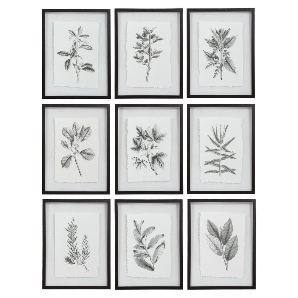 Uttermost Farmhouse Florals Framed Prints, S/9 By Casagear Home