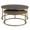 Uttermost Aragon Gray Nesting Coffee Tables Set/2