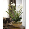 Uttermost Moth Orchid Planter By Casagear Home UT-60039