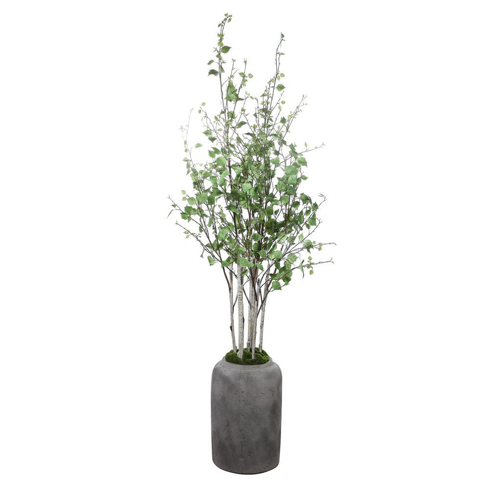 Uttermost Aldis Potted River Birch By Casagear Home