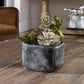 Uttermost Alverio Desert Garden Succulents By Casagear Home UT-60173