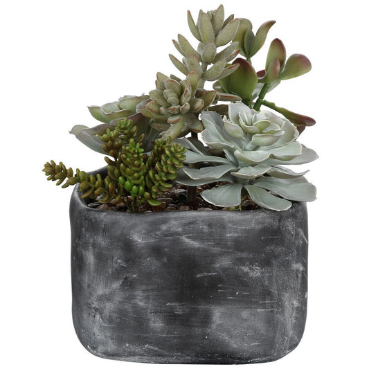 Uttermost Alverio Desert Garden Succulents By Casagear Home