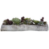 Uttermost Charita Lush Succulents By Casagear Home