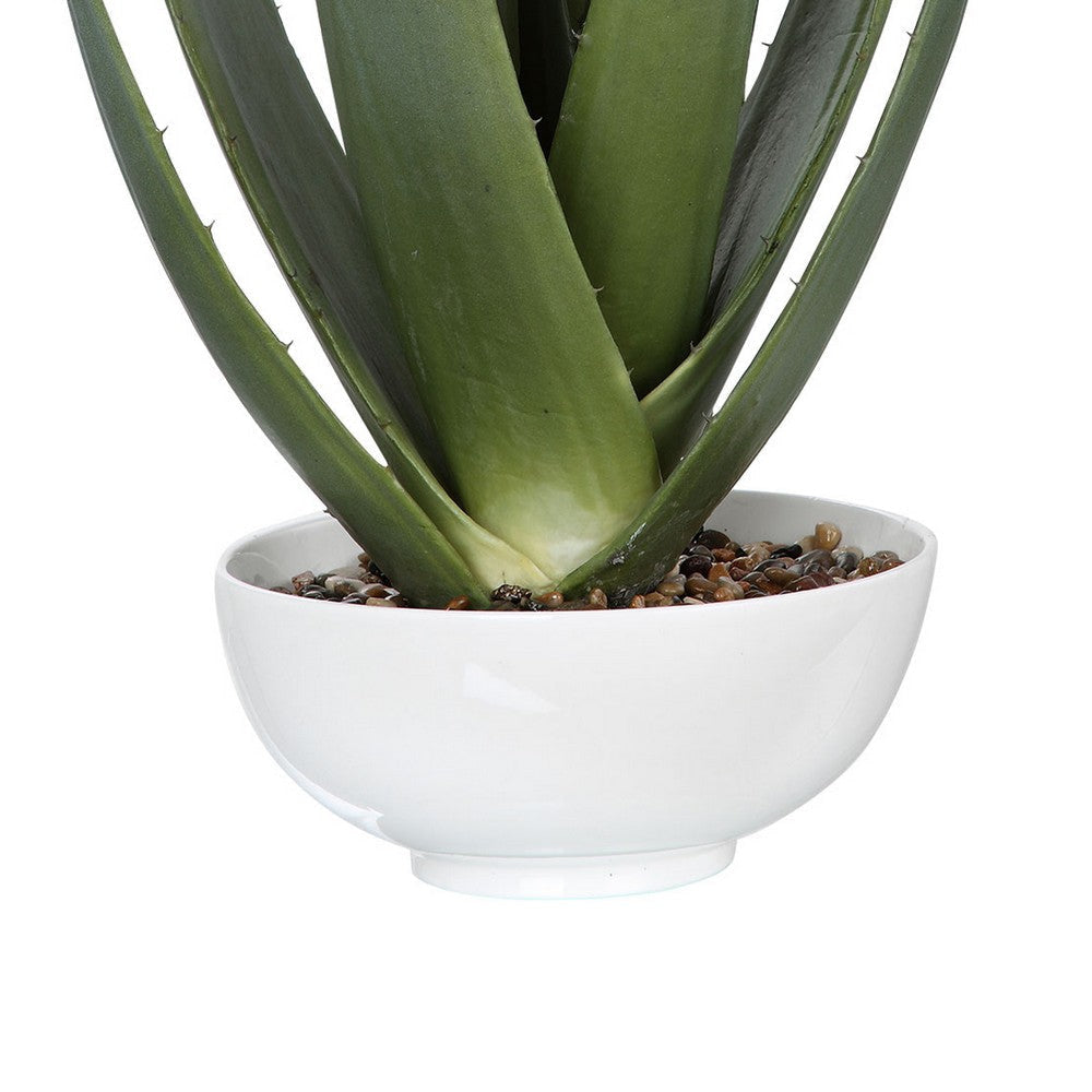 Uttermost Evarado Aloe Planter By Casagear Home UT-60177