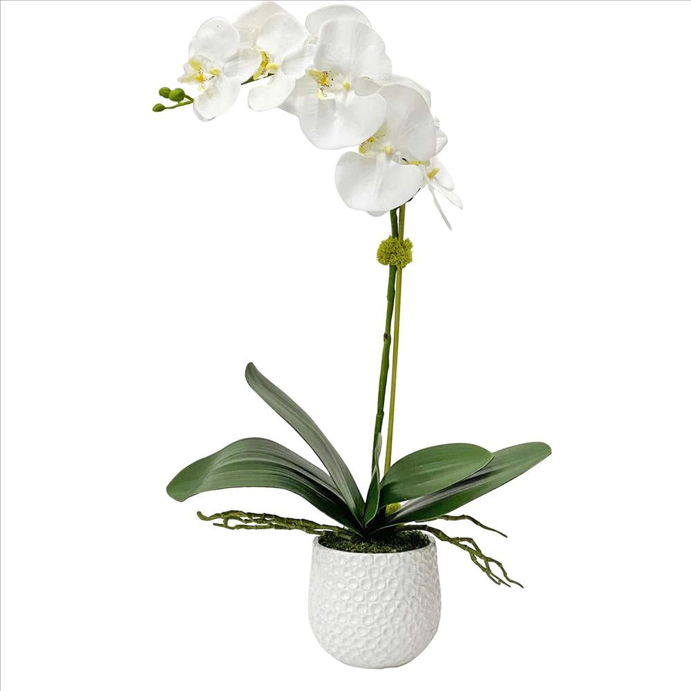 Uttermost Cami White Orchid By Casagear Home