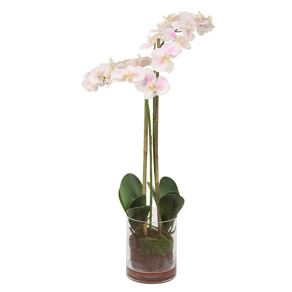 Uttermost Blush Pink And White Orchid By Casagear Home UT-60196