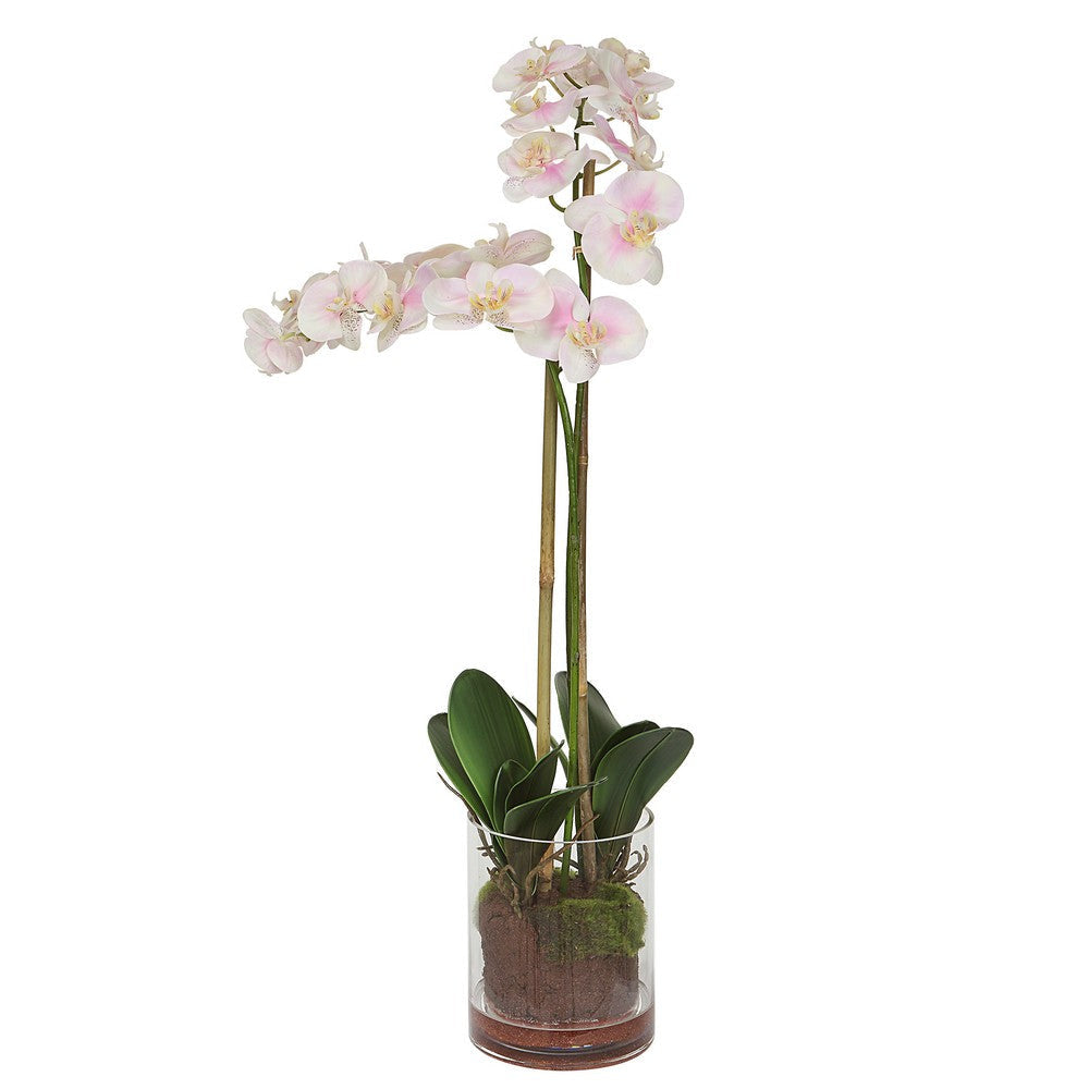 Uttermost Blush Pink And White Orchid By Casagear Home UT-60196