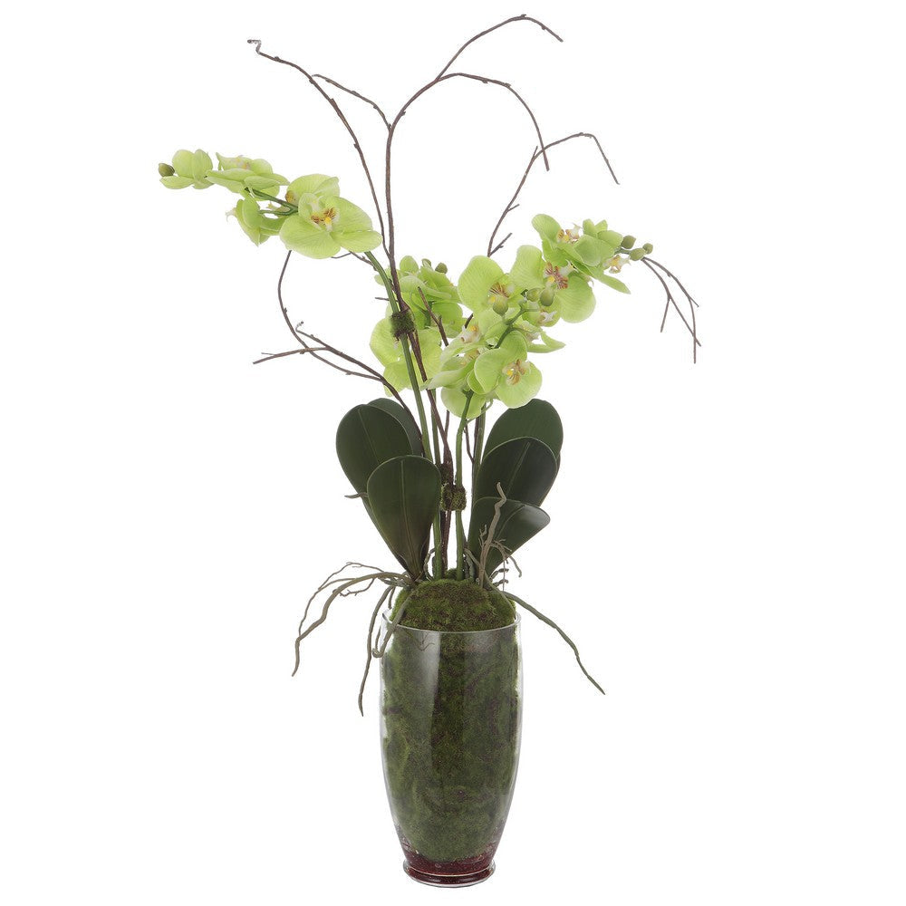 Uttermost Valdive Orchid By Casagear Home UT-60199