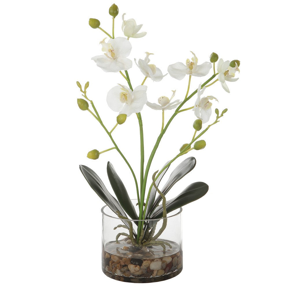 Uttermost Glory Orchid By Casagear Home