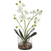 Uttermost Glory Orchid By Casagear Home