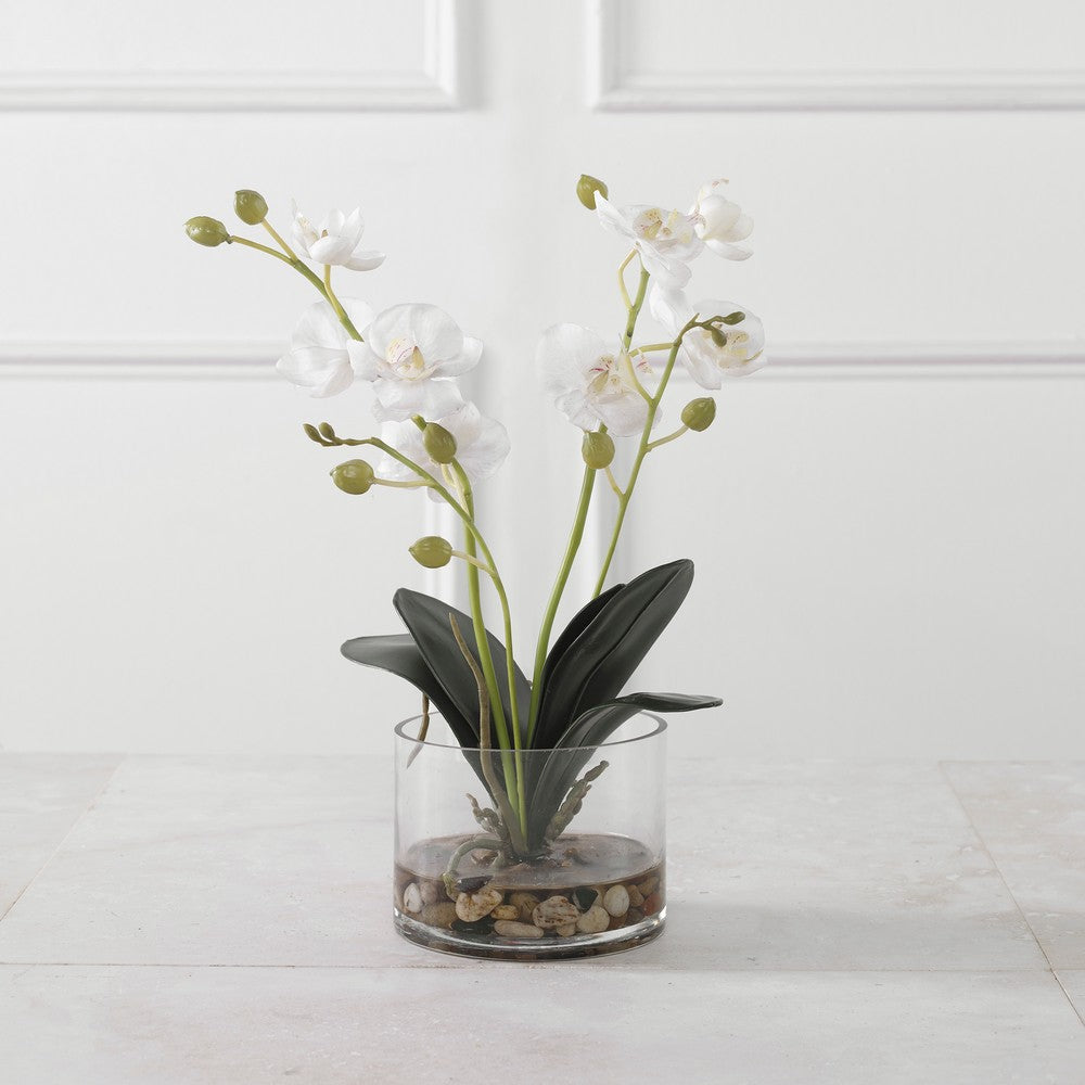 Uttermost Glory Orchid By Casagear Home UT-60201