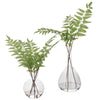 Uttermost Country Ferns, S/2 By Casagear Home