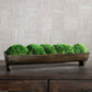 Uttermost Canal Moss Small Centerpiece By Casagear Home UT-60203