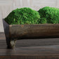 Uttermost Canal Moss Small Centerpiece By Casagear Home UT-60203