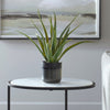 Uttermost Tucson Aloe Planter By Casagear Home UT-60204