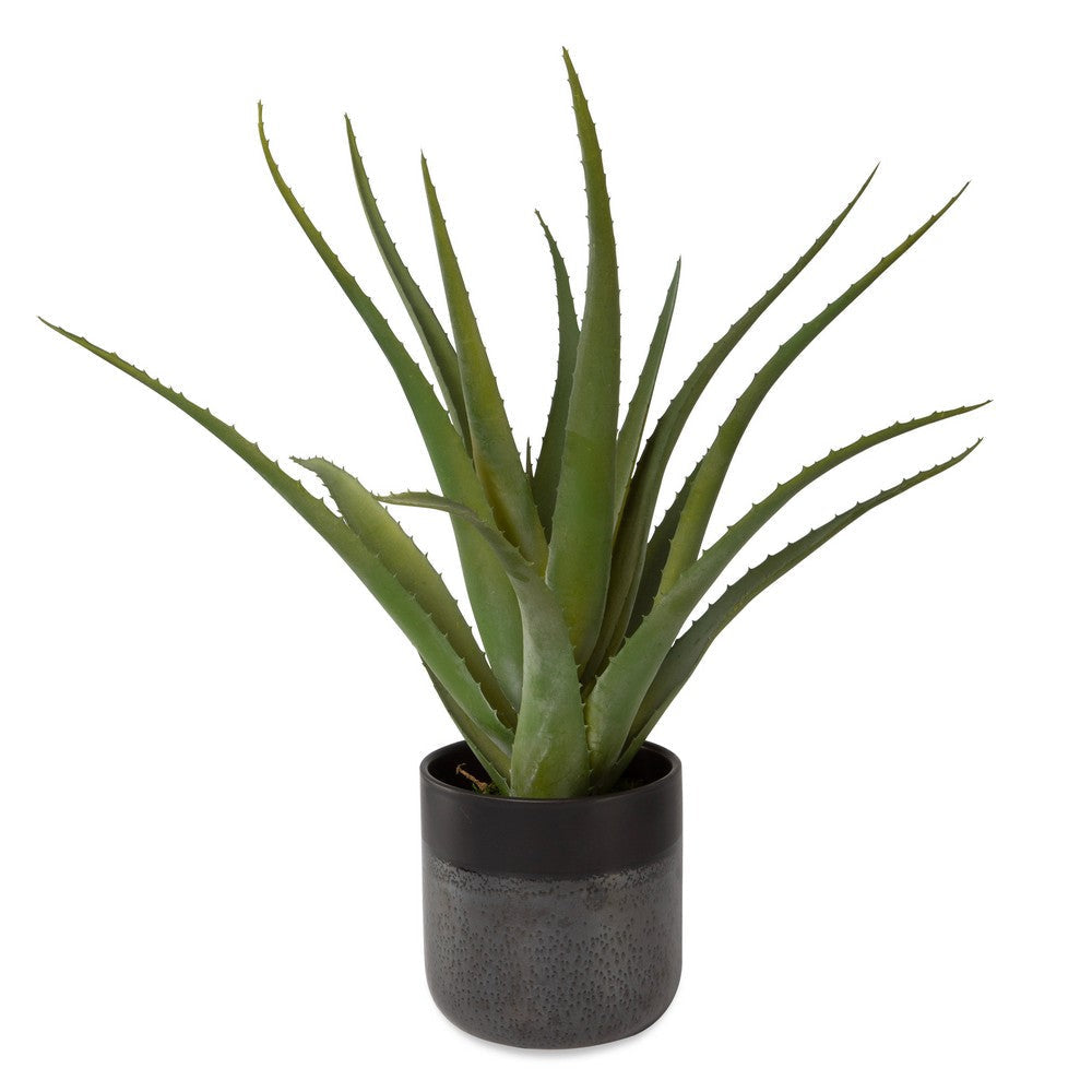 Uttermost Tucson Aloe Planter By Casagear Home UT-60204