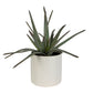 Uttermost Taos Aloe Centerpiece By Casagear Home