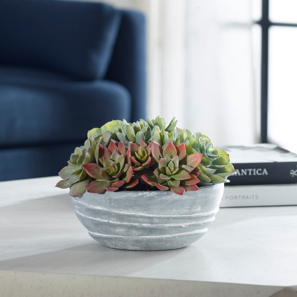 Uttermost Peoria Succulent Accent By Casagear Home UT-60212