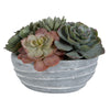 Uttermost Peoria Succulent Accent By Casagear Home UT-60212