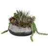 Uttermost Yuma Succulent Centerpiece By Casagear Home