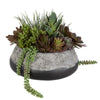 Uttermost Yuma Succulent Centerpiece By Casagear Home UT-60214