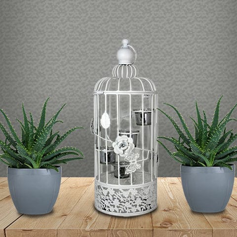 Adorable Metal Bird Cage Candle Holder