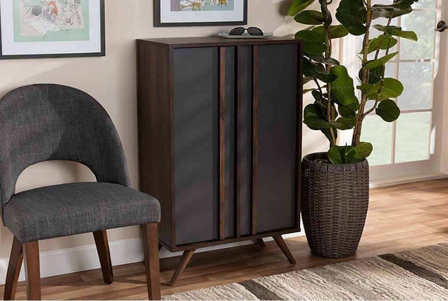 Modern and Contemporary 2-Door Shoe Cabinet