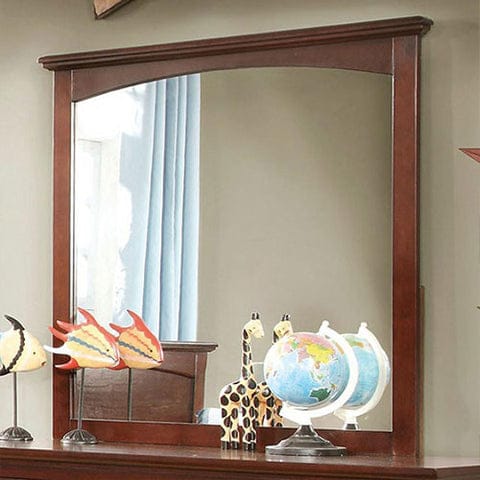 Colin Transitional Mirror