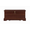 Traditional Style Lift Top Wooden Chest with Carved Details Dark Brown BM215984