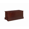 Traditional Style Lift Top Wooden Chest with Carved Details Dark Brown BM215984