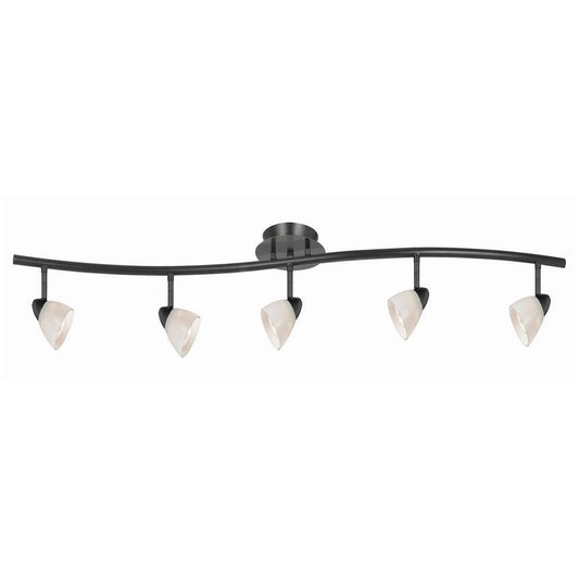 5 Light 120V Metal Track Light Fixture with Glass Shade, Black and White By Casagear Home