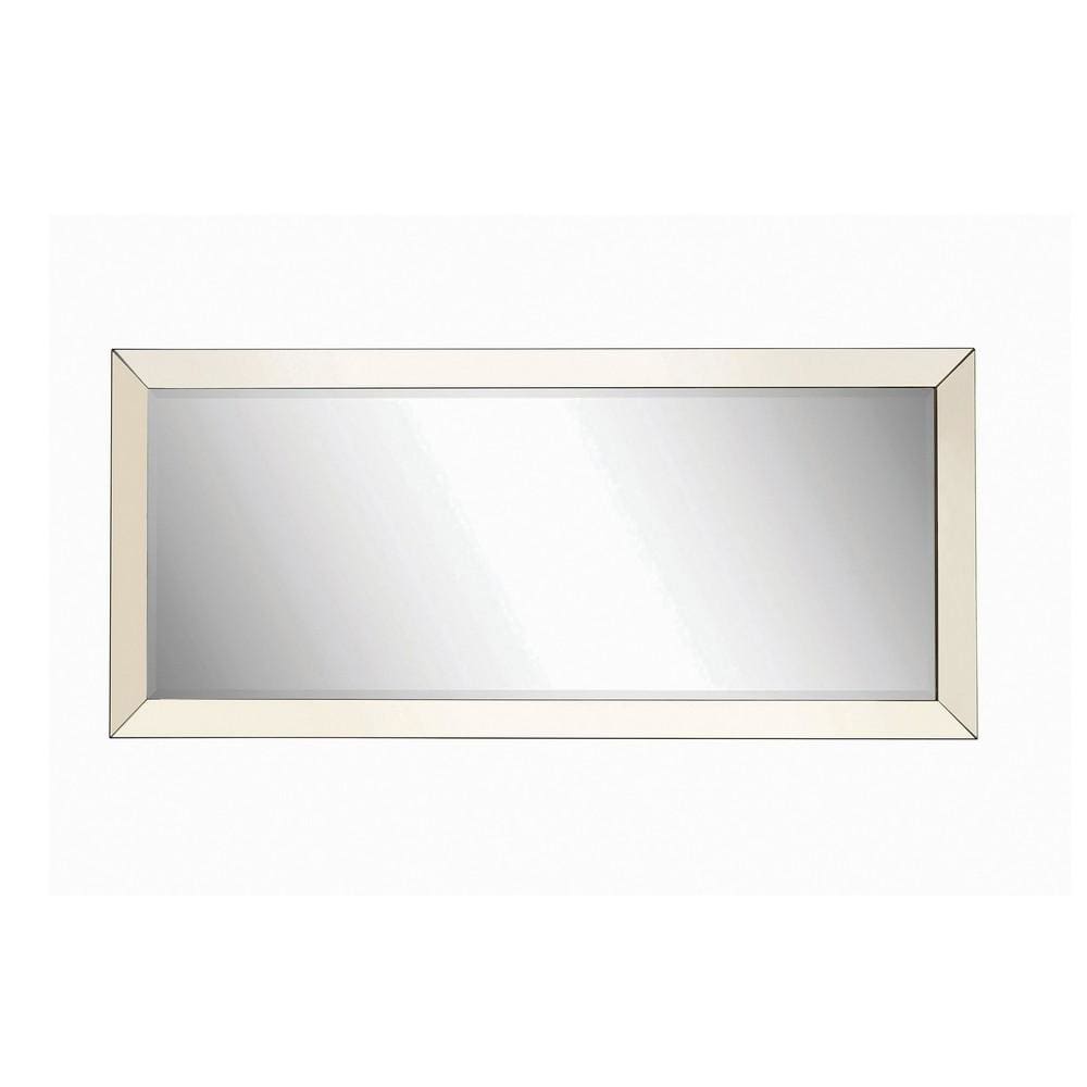 Rectangular Shaped Floor Mirror with Beveled Edge Silver By Casagear Home BM233236