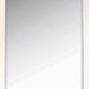 Rectangular Shaped Floor Mirror with Beveled Edge Silver By Casagear Home BM233236