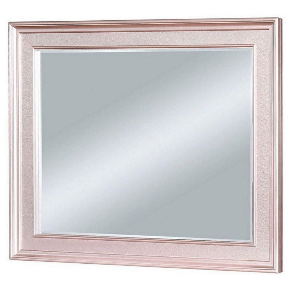 64 Inch Contemporary Style Wooden Frame Mirror, Rose Pink By Casagear Home