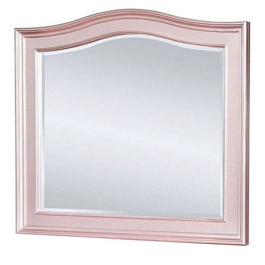 46 Inch Contemporary Style Wooden Frame Mirror, Rose Pink By Casagear Home